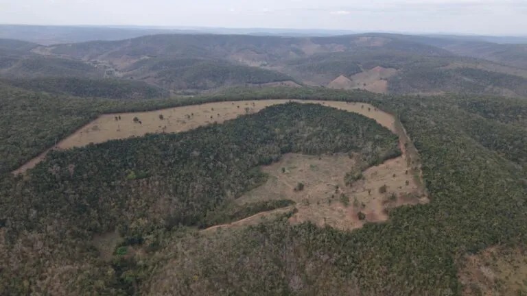 Multas por desmatamento na Mata Atlântica passam de R$ 26 milhões em Minas